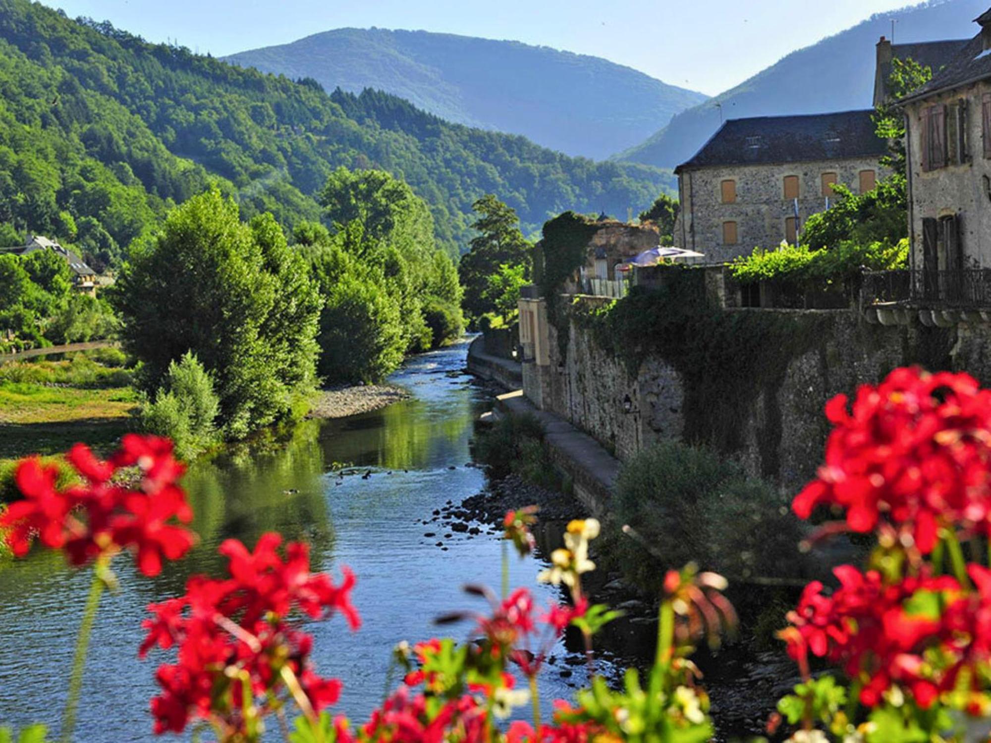 La Maison Bleue, Village Vacances, Piscine, Parking Saint-Geniez-dʼOlt Eksteriør bilde