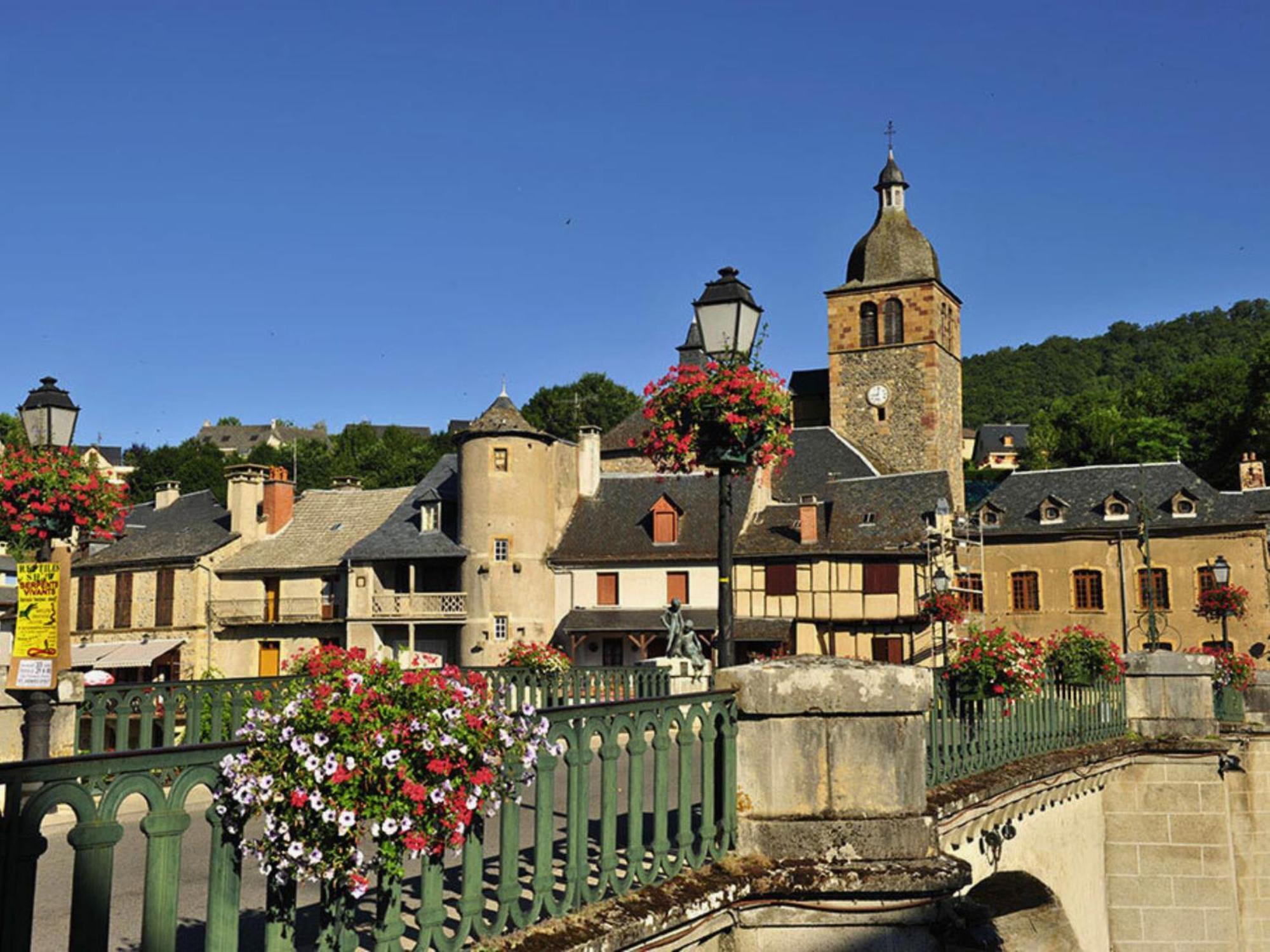 La Maison Bleue, Village Vacances, Piscine, Parking Saint-Geniez-dʼOlt Eksteriør bilde