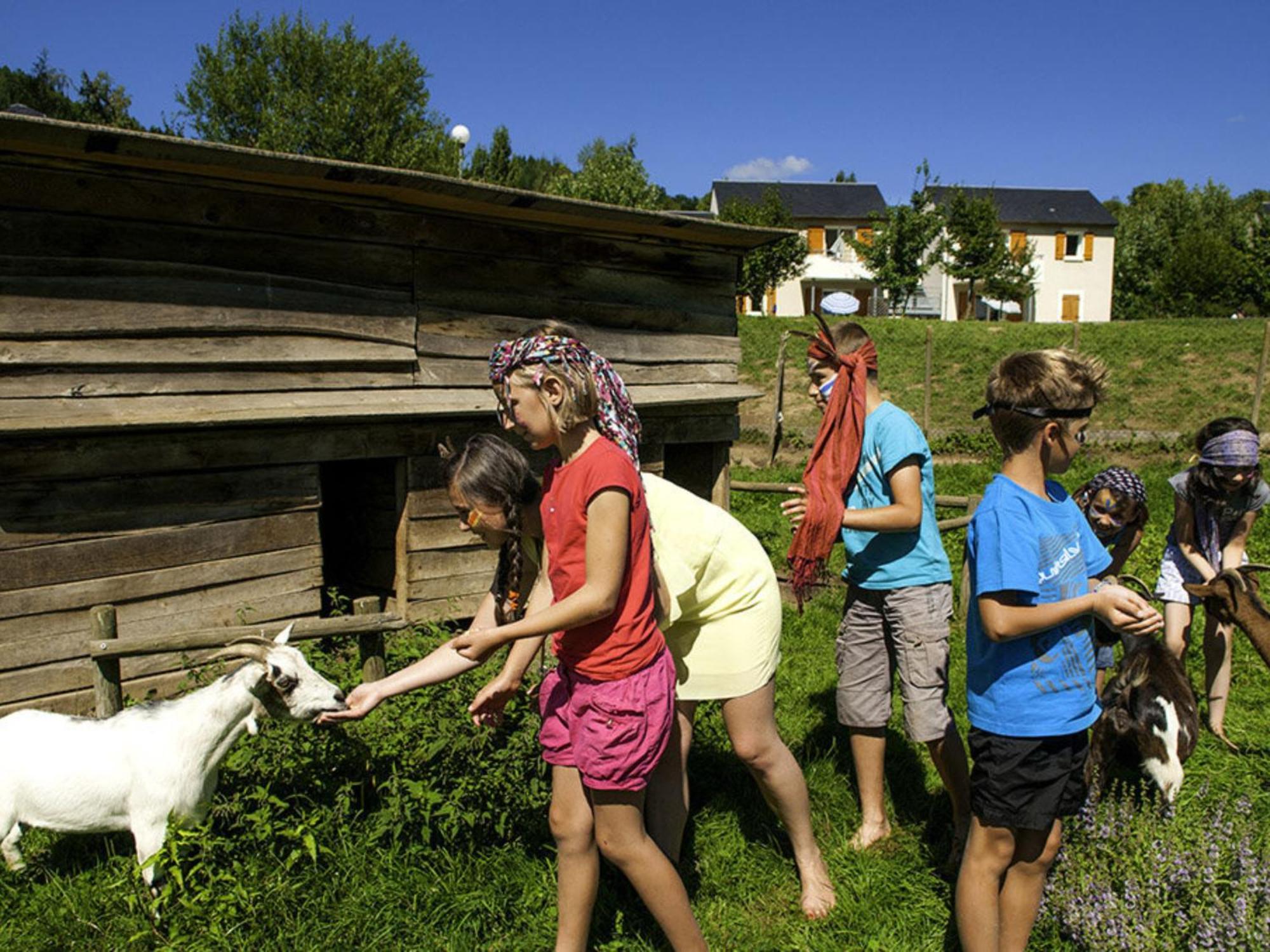 La Maison Bleue, Village Vacances, Piscine, Parking Saint-Geniez-dʼOlt Eksteriør bilde